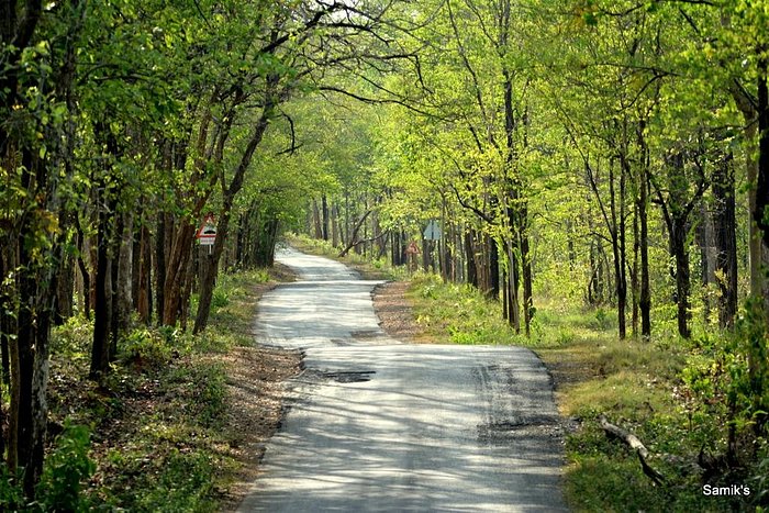 Best laundry business franchise gondia