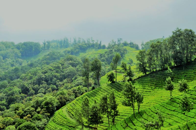 Best laundry business franchise kerala